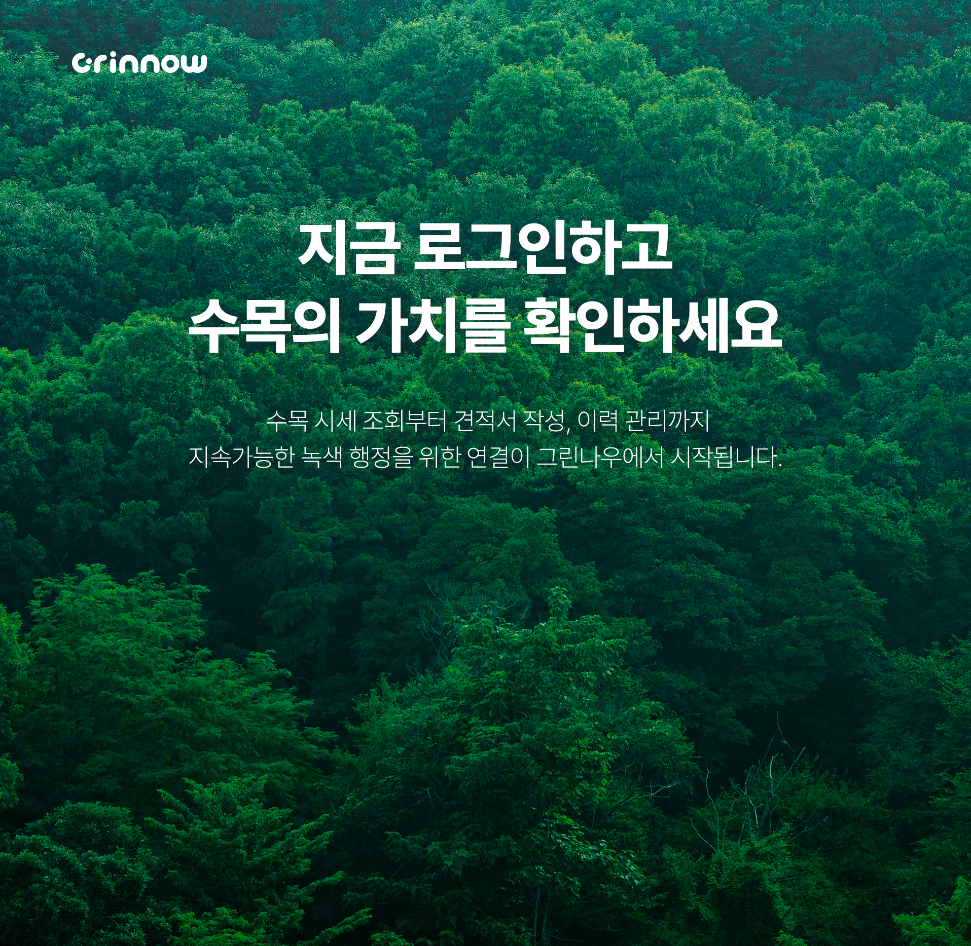그린나우 설명